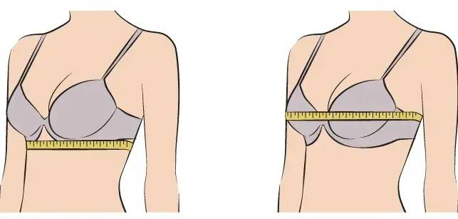 80%的女性朋友不知道如何选择合适胸罩，乳腺专家来教你